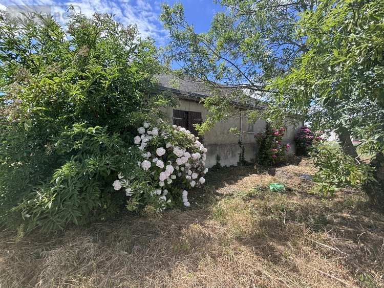 Maison a vendre La Ménitré 49250 Maine-et-Loire 86 m2 3 pièces 147000 euros