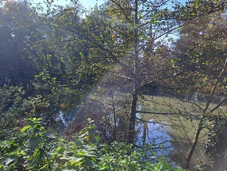 Maison a vendre Rebergues 62850 Pas-de-Calais 394 m2 12 pièces 581660 euros