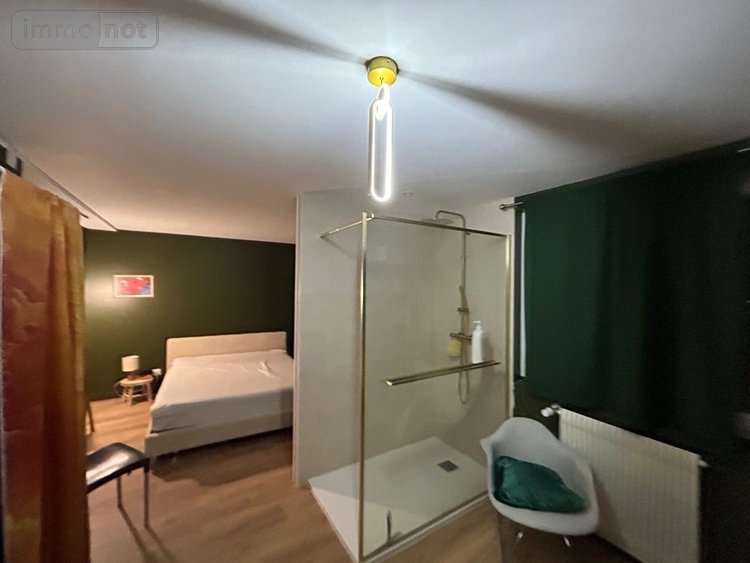 Fonds et murs commerciaux a vendre Mur-sur-Allier 63115 Puy-de-Dôme 480 m2  650000 euros