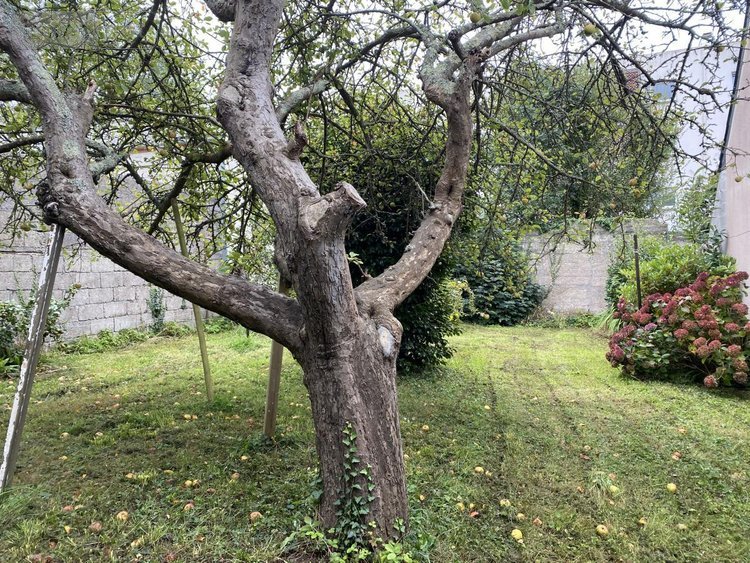 Maison a vendre Brest 29200 Finistère 89 m2 4 pièces 292600 euros