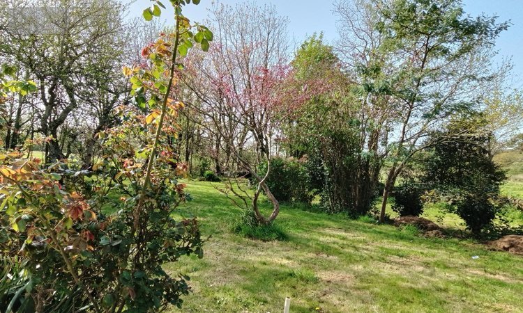 Maison a vendre Pouldreuzic 29710 Finistère 89 m2 4 pièces 221000 euros