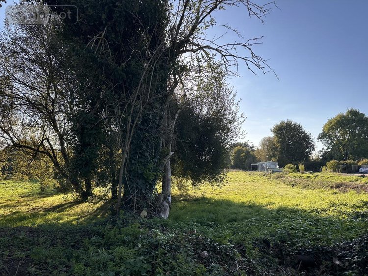 Terrain a batir a vendre Île-d'Arz 56840 Morbihan 1516 m2  373540 euros