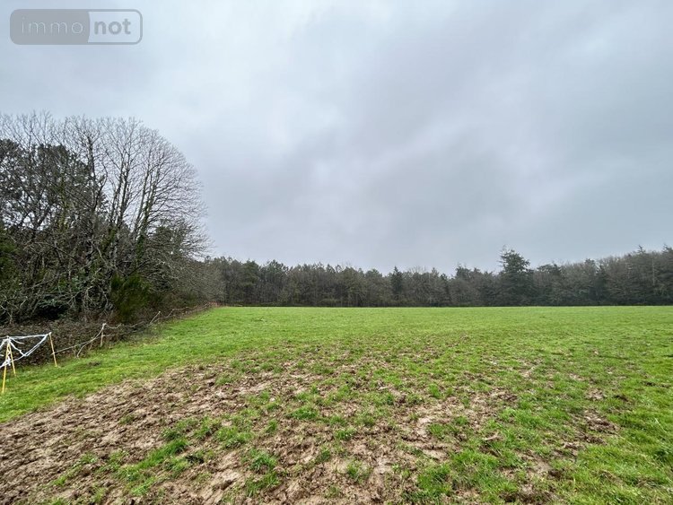 Maison a vendre Carentoir 56910 Morbihan 110 m2 5 pièces 259750 euros