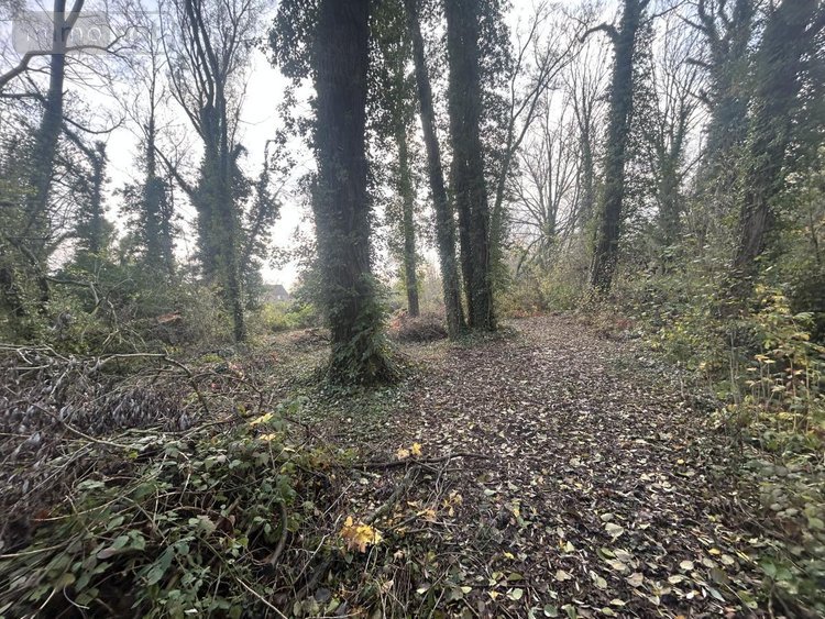 Terrain a batir a vendre Flines-lez-Raches 59148 Nord 1500 m2  115280 euros