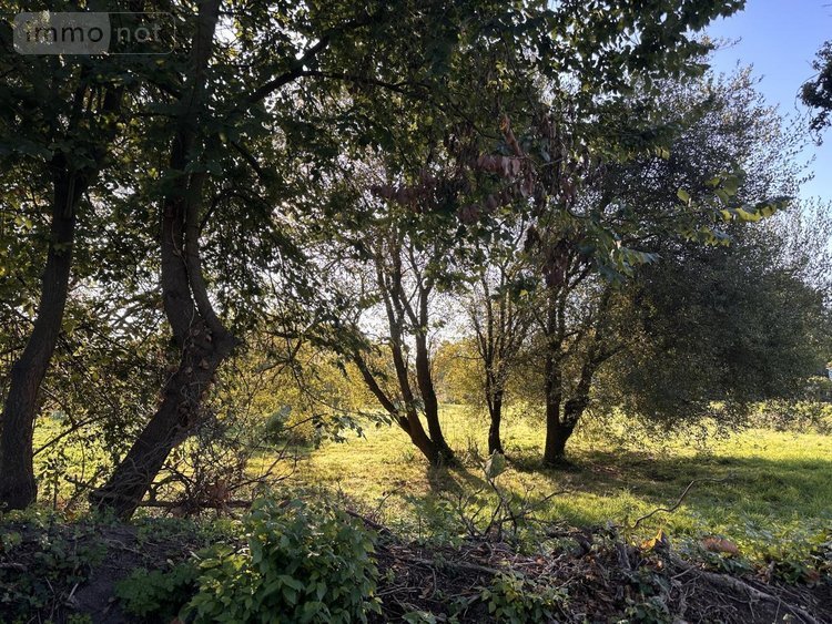 Terrain a batir a vendre Île-d'Arz 56840 Morbihan 1516 m2  373540 euros