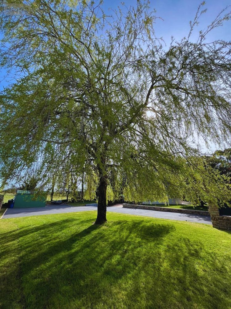 Maison a vendre La Forêt-Fouesnant 29940 Finistère 125 m2 5 pièces 600000 euros