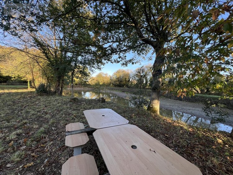 Terrains de loisirs bois etangs a vendre Plumaudan 22350 Côtes-d'Armor 5908 m2  39700 euros