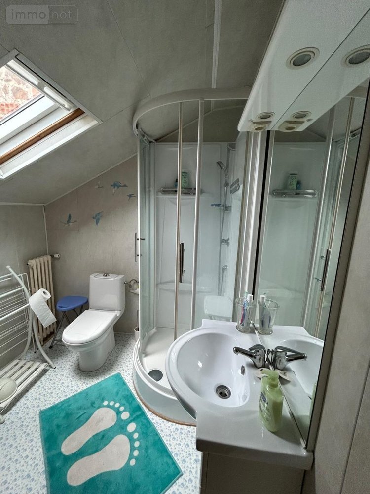 Viager maison Vichy 03200 Allier 105 m2 8 pièces 50000 euros