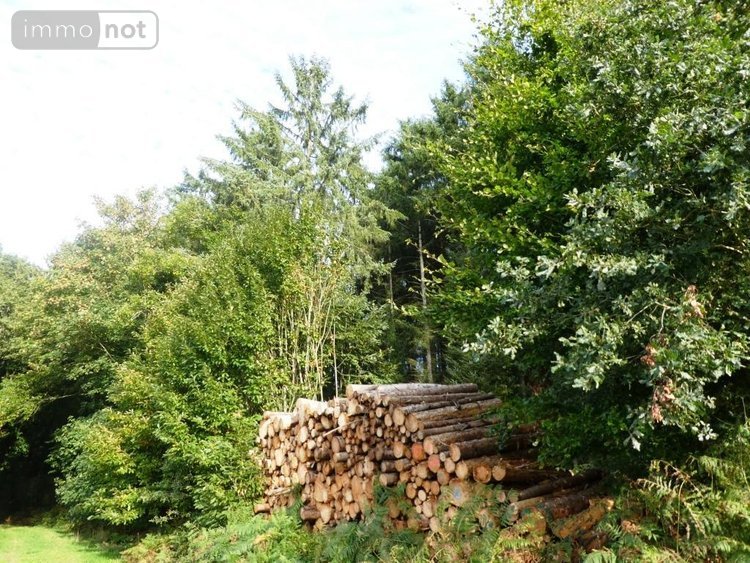 Terrains de loisirs bois etangs a vendre Melrand 56310 Morbihan 13280 m2  21320 euros