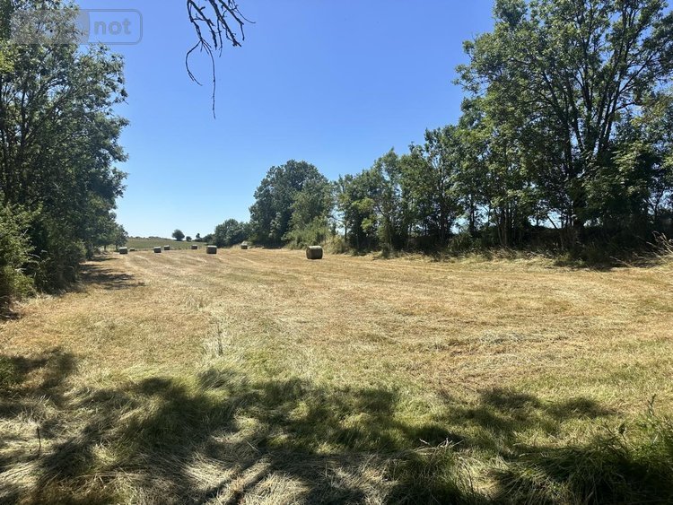 Maison a vendre Neuvéglise-sur-Truyère 15260 Cantal 200 m2  245000 euros