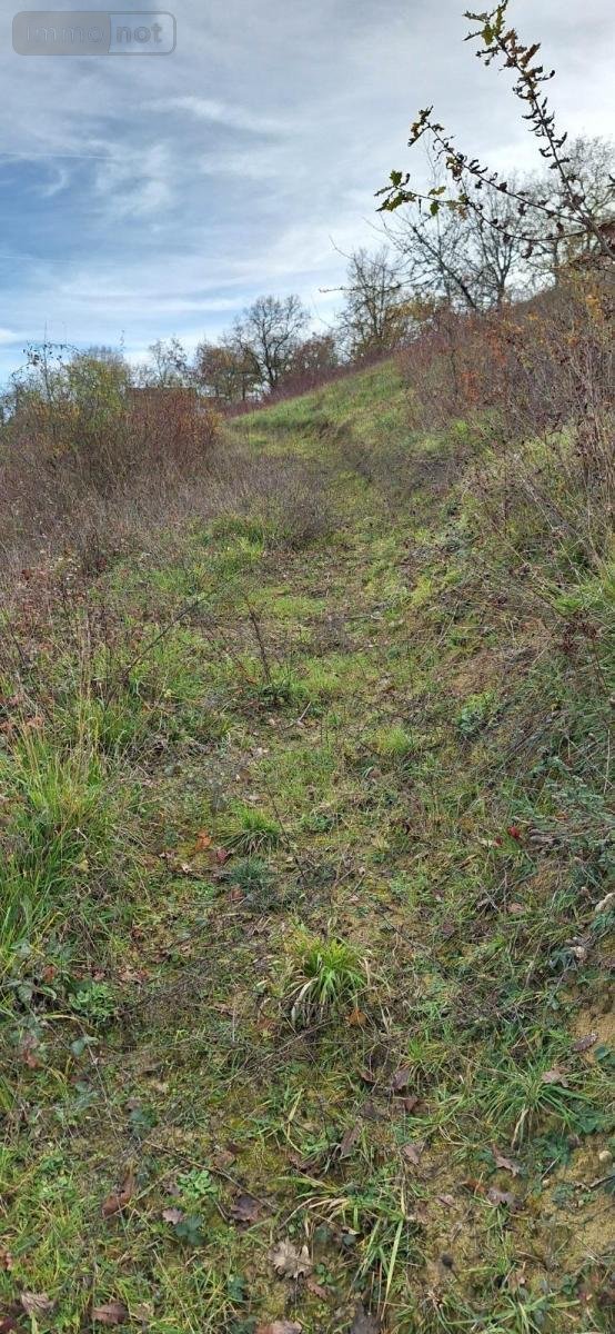 Terrains de loisirs bois etangs a vendre Peyrusse-Grande 32320 Gers 57740 m2  39500 euros