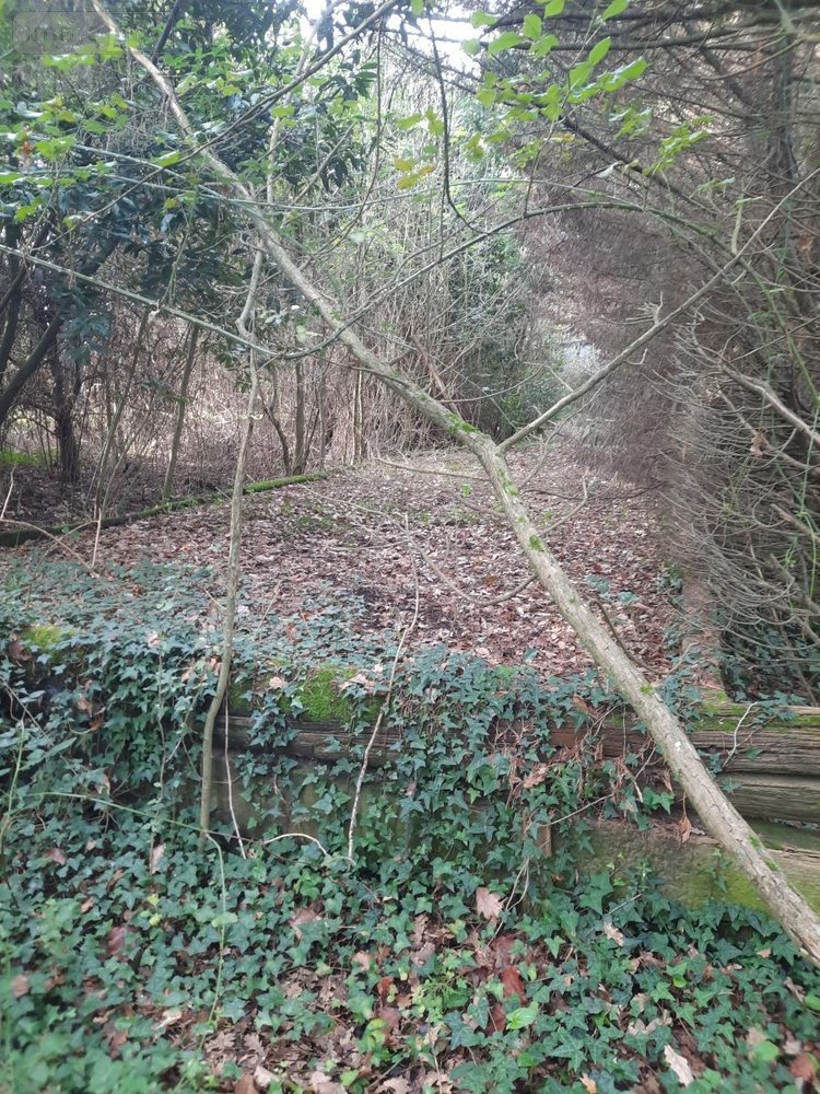 Terrains de loisirs bois etangs a vendre Aizenay 85190 Vendée 12772 m2  54000 euros