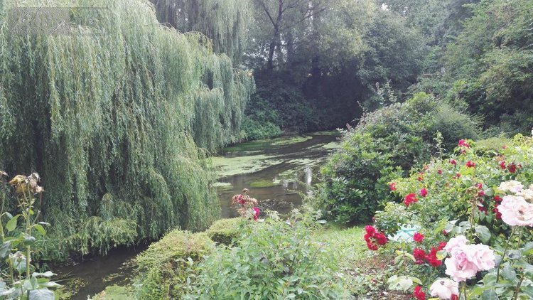 Immeuble a vendre Hémonstoir 22600 Côtes-d'Armor 800 m2  410800 euros