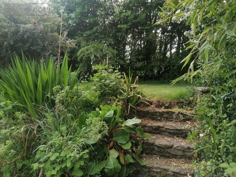 Maison a vendre Plougourvest 29400 Finistère 127 m2 7 pièces 299575 euros