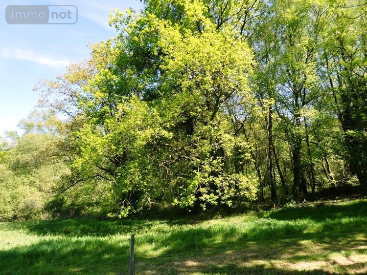 Maison a vendre Ploërdut 56160 Morbihan 253 m2 12 pièces 492400 euros