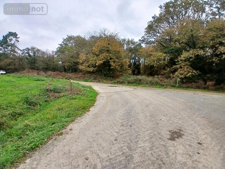 Terrains de loisirs bois etangs a vendre Allaire 56350 Morbihan 7515 m2  9600 euros