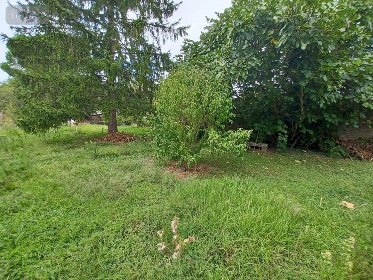 Maison a vendre Sorigny 37250 Indre-et-Loire 98 m2 7 pièces 220400 euros