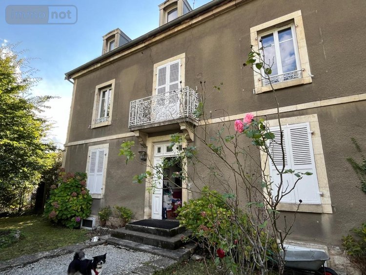 Immeuble a vendre Dole 39100 Jura 265 m2  265000 euros