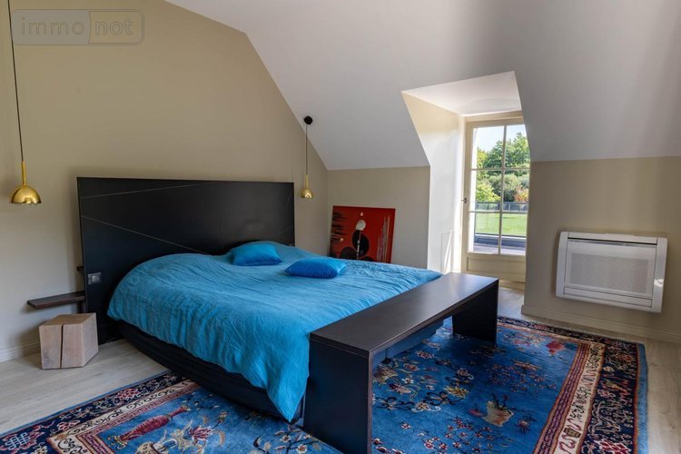 Maison a vendre Pruniers-en-Sologne 41200 Loir-et-Cher 405 m2 11 pièces 1768000 euros