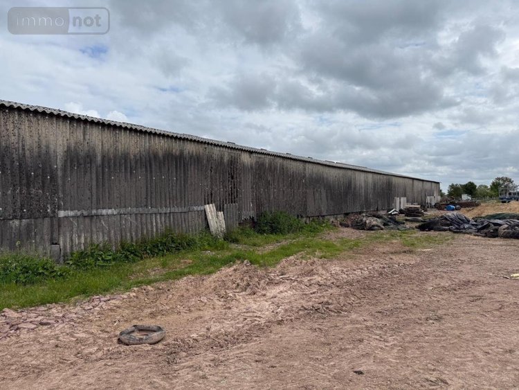 Maison a vendre Ver 50450 Manche 100 m2 4 pièces 272832 euros