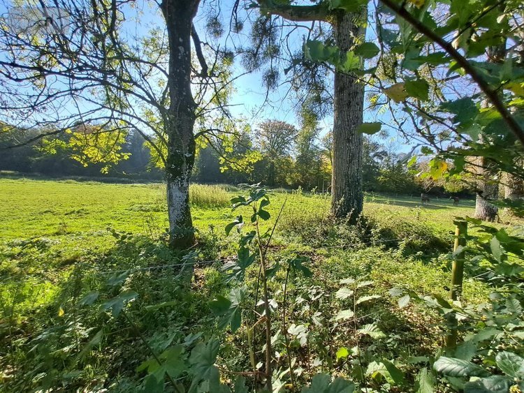 Maison a vendre Rebergues 62850 Pas-de-Calais 394 m2 12 pièces 581660 euros