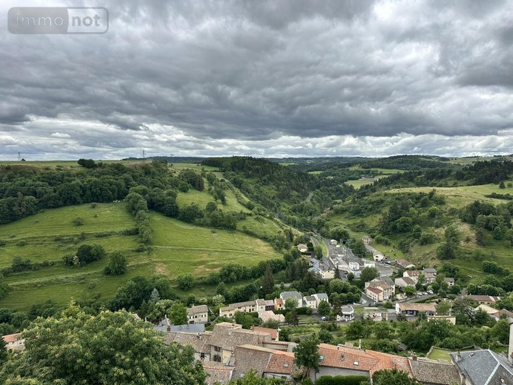 Appartement a vendre Saint-Flour 15100 Cantal 98 m2  116600 euros