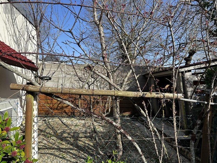 Maison a vendre Saint-Avé 56890 Morbihan 187 m2  770000 euros