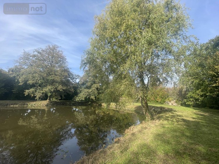 Terrains de loisirs bois etangs a vendre Lombron 72450 Sarthe 5800 m2  19800 euros