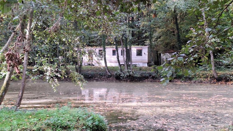 Terrains de loisirs bois etangs a vendre Rebreuve-sur-Canche 62270 Pas-de-Calais 8091 m2  99000 euros