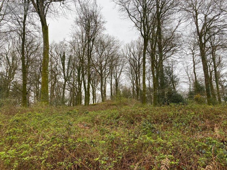 Terrains de loisirs bois etangs a vendre Champ-du-Boult 14380 Calvados 36976 m2  60990 euros