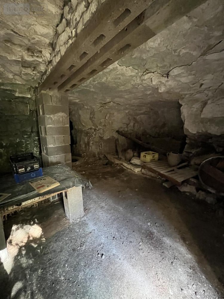 Maison a vendre Rilly-sur-Vienne 37220 Indre-et-Loire 95 m2  84800 euros