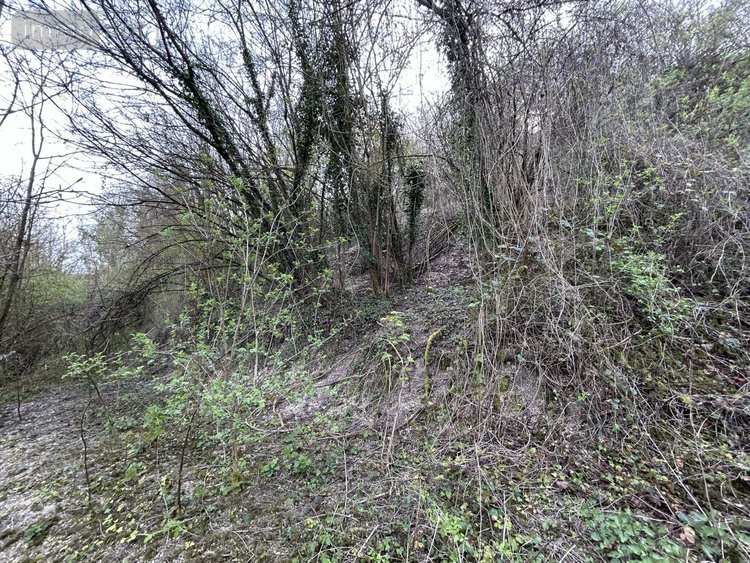 Divers a vendre Corbie 80800 Somme 7990 m2  17000 euros