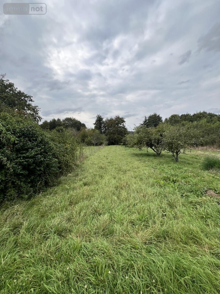 Terrains de loisirs bois etangs a vendre Lunay 41360 Loir-et-Cher 2855 m2  11800 euros