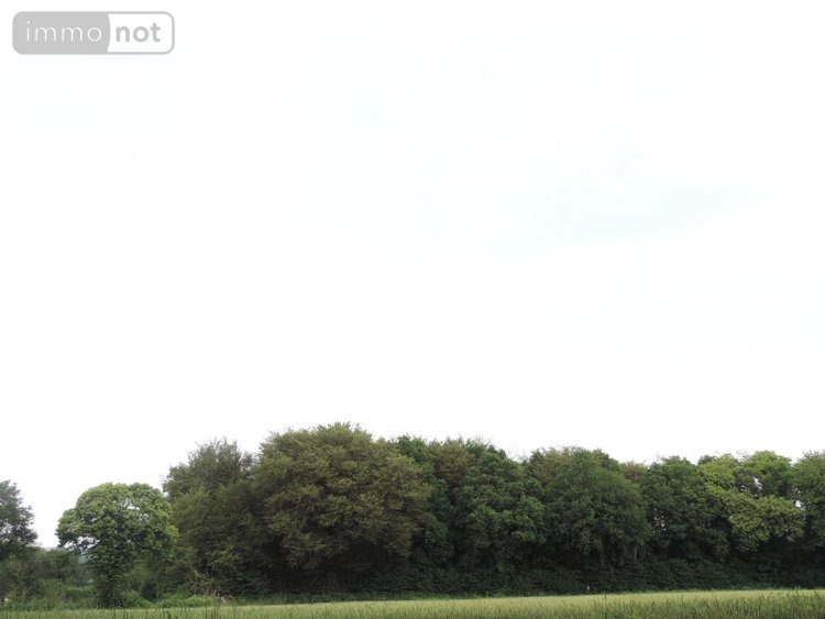 Maison a vendre Plougonver 22810 Côtes-d'Armor 102 m2 4 pièces 79425 euros