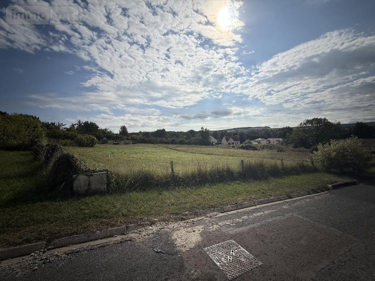 Terrain a batir a vendre Saint-Euphraise-et-Clairizet 51390 Marne 3528 m2  210000 euros