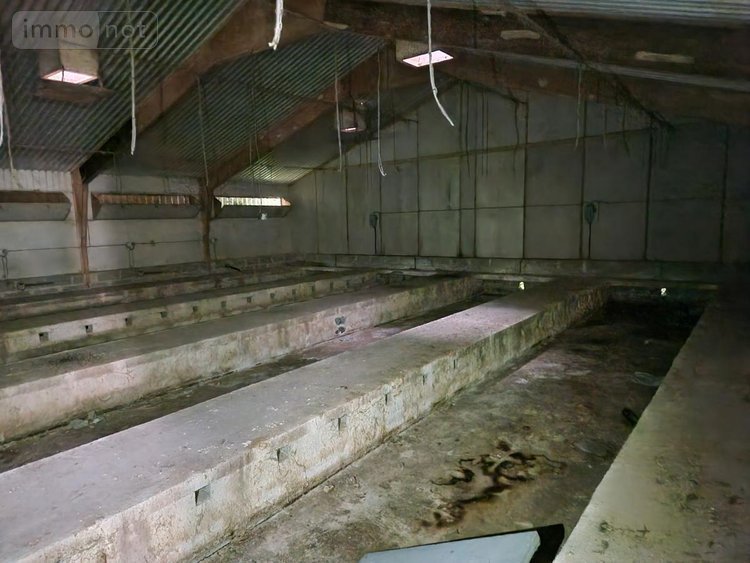 Maison a vendre Saint-Aignan 56480 Morbihan 83 m2 4 pièces 208640 euros