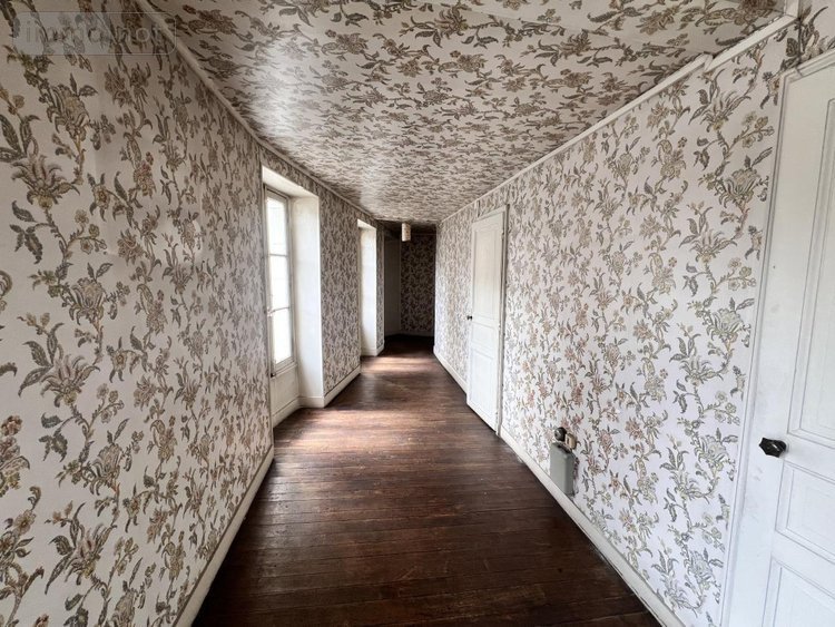 Maison a vendre Saint-Aignan 41110 Loir-et-Cher 475 m2 12 pièces 420000 euros