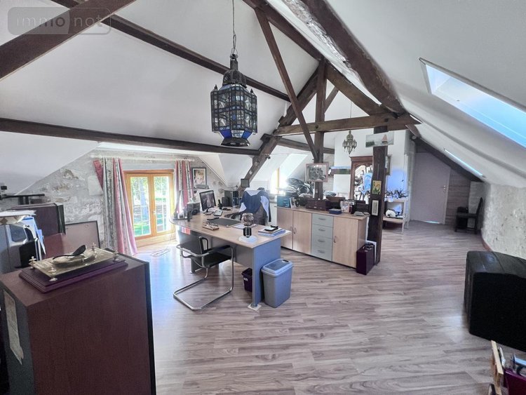 Maison a vendre Châtillon-sur-Cher 41130 Loir-et-Cher 385 m2 14 pièces 420000 euros