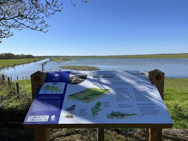 Maison a vendre Lairoux 85400 Vendée 227 m2 9 pièces 350240 euros