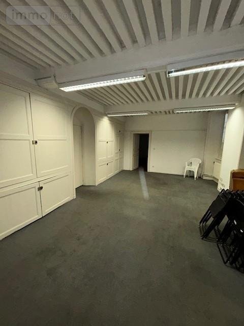 Viager maison Riom 63200 Puy-de-Dôme 320 m2 14 pièces 477750 euros