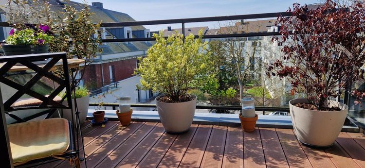 Appartement a vendre Saint-Malo 35400 Ille-et-Vilaine 65 m2 3 pièces 426400 euros