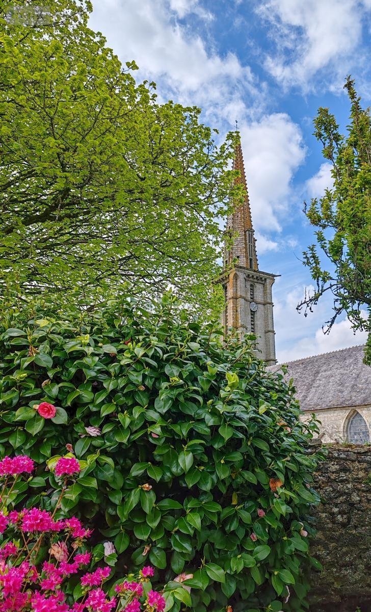 Location maison Plounéour-Ménez 29410 Finistère 62 m2 3 pièces 670 euros