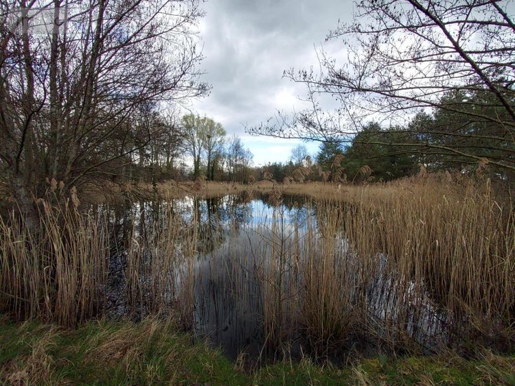 Maison a vendre Chevillon-sur-Huillard 45700 Loiret 115 m2 5 pièces 249420 euros