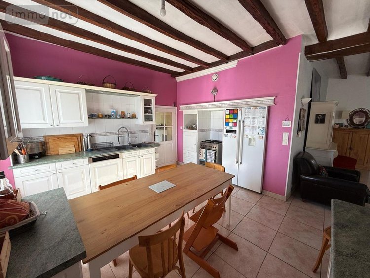 Maison a vendre Villaines-les-Rochers 37190 Indre-et-Loire 169 m2 6 pièces 260000 euros