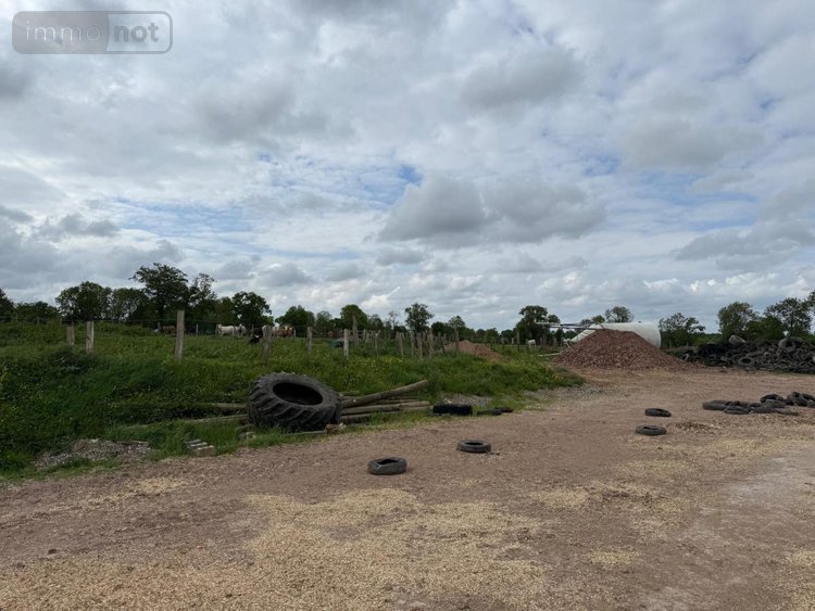 Terrains de loisirs bois etangs a vendre Ver 50450 Manche 31229 m2  156892 euros