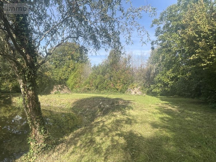 Terrains de loisirs bois etangs a vendre Lombron 72450 Sarthe 5800 m2  19800 euros