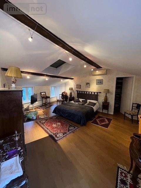 Viager maison Riom 63200 Puy-de-Dôme 320 m2 14 pièces 477750 euros