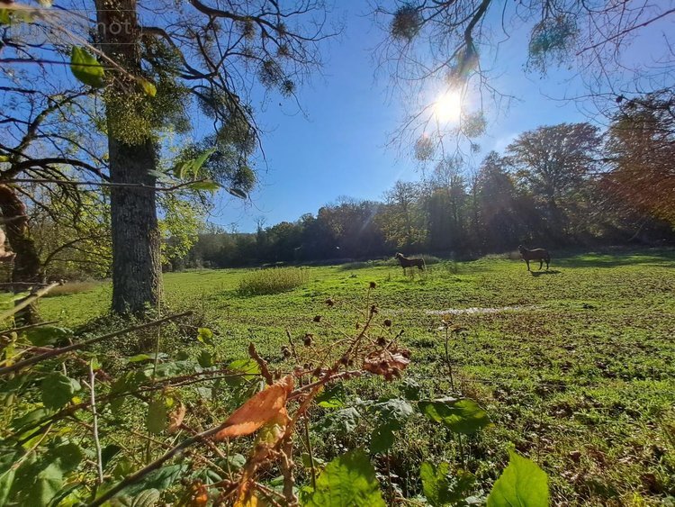 Maison a vendre Rebergues 62850 Pas-de-Calais 394 m2 12 pièces 581660 euros