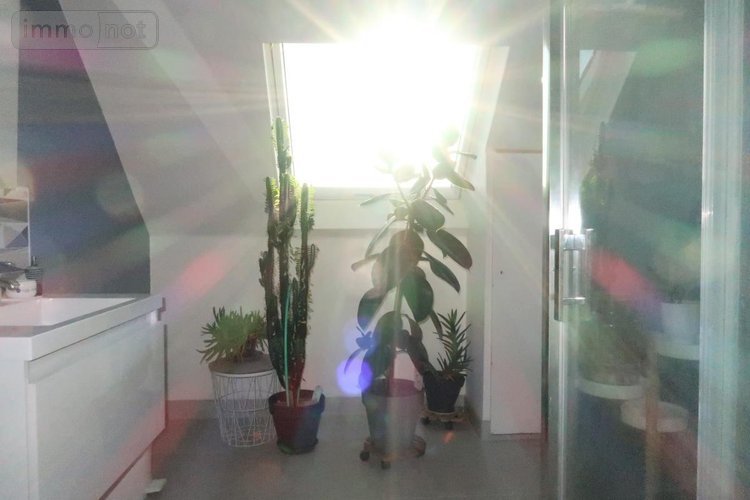 Maison a vendre La Forest-Landerneau 29800 Finistère 150 m2  269300 euros