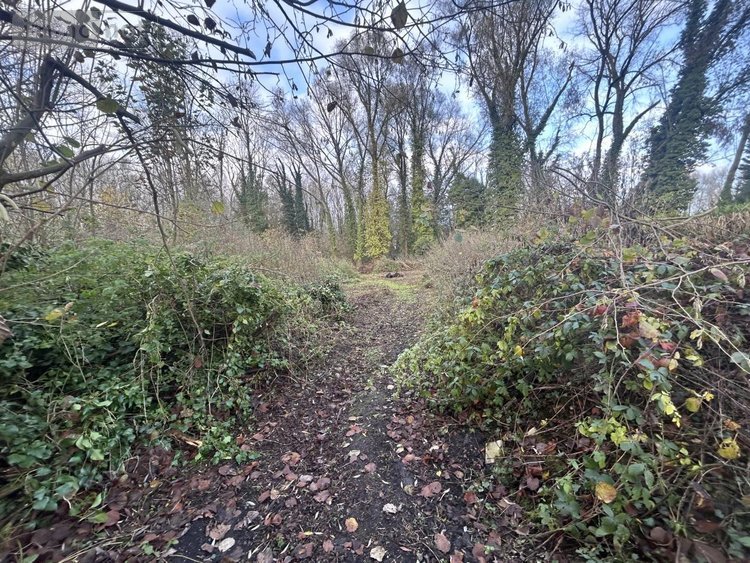 Terrain a batir a vendre Flines-lez-Raches 59148 Nord 1500 m2  115280 euros